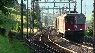 Schweizerische Re1010  SBB Re 66 11613 und Re44 in Immensee am Zuger See [upl. by Asher]