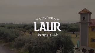 Olivícola Laur [upl. by Yrem]