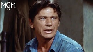 Best Of Charles Bronson  Compilation  MGM [upl. by Anerul]