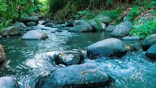 Relaxing birds amp water sounds nature river sounds for sleep meditation relaxation flowing water [upl. by Ennaitak]