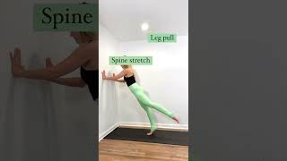 Wall Pilates Workout  for beginners 💥 pilates pilatesworkout beginnerpilates pilateshome [upl. by Aimaj]