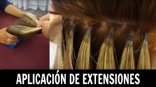 Aplicación de extensiones  Ana Mireles [upl. by Brinson]