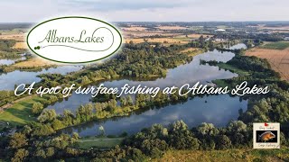 CARP FISHING A spot of surface fishing at Albans Lakes [upl. by Kramer]