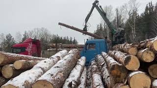 I load roundwood into a logging truck and show the process of working in production [upl. by Aicilev]