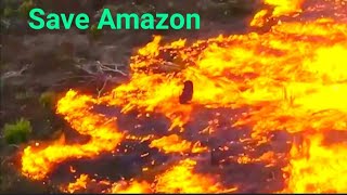 AMAZON Rainforest Fire Raw Footage BRAZILsaveAmazonia [upl. by Keever]