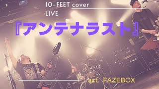 『アンテナラスト』10FEET cover in OTARU GOLDSTONE actFAZEBOX [upl. by Lugo]