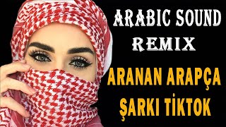 Arabic Remix Song ►Tiktok Aranan Arapça Şarkı King Song [upl. by Gagnon]