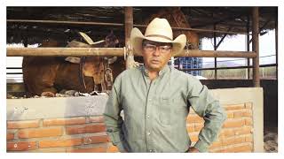 Uso de las espuelas con Javier Monge [upl. by Yelnats]