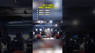 Top 5 Larry Wheels Deadlifts 🤯 [upl. by Ahsal]