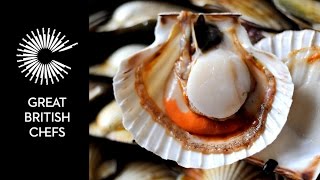 How to open a scallop [upl. by Leilani]