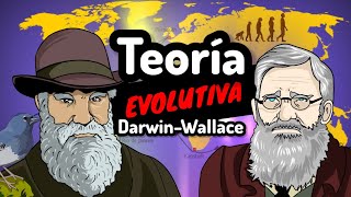 TEORÍA DE EVOLUCIÓN Darwin y Wallace⚡La selección natural fácil y rápido en 5 minutos [upl. by Gram718]