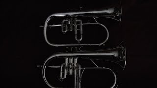 Comparison A Getzen Eterna amp E M Winston Flugelhorn [upl. by Thad616]