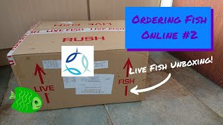 Ordering Fish Online From Aquatics To Your Door [upl. by Brande]