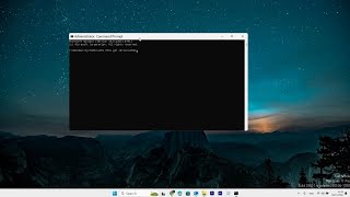 How To Check Computer Serial Number on Windows 11 2024  Quick Help [upl. by Bostow]