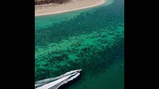 KUBBAR ISLAND REEF kuwait jetboat island reef dji الكويت DJI [upl. by Durning]