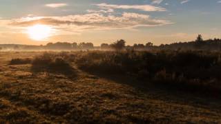 Sonnenaufgang in der Wahner Heide [upl. by Leonore]