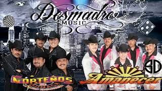 Conjunto Amanecer  Norteños de Ojinaga Mix DesmadreMusic [upl. by Yeltihw]