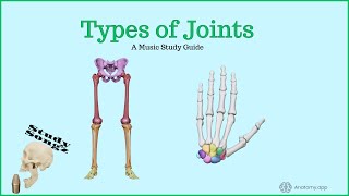 Types of Joints ReEdit  Study Songz [upl. by Rist]