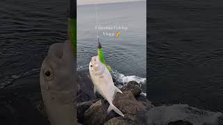 🐟വറ്റ🐟ആദ്യമായി ഷാഡിൽ അടിച്ചത്fishingvirashortfeed10gm jig headshorecastingtrendingULD VLOGG🌈 [upl. by Yro]