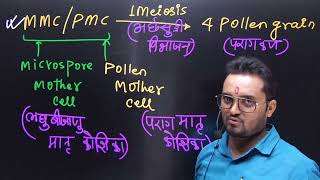 QHOW MANY MEIOSIS ARE REQUIRED FOR THE FORMATION OF 200 pollen grainsBYGKMISHRAchapter2NEET [upl. by Asiluj]