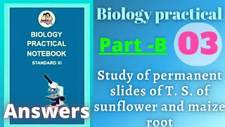 Study of permanent slides biology practical class 11 experiment 3 part b answers [upl. by Ebneter]