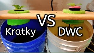 Kratky Vs DWC Hydroponics Competition Which One Is Better [upl. by Yaf602]