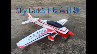 SkyLarkS下反角仕様SkyLarkS diagonal specification [upl. by Kilk]