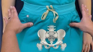 Pelvis amp Sacrum Palpatory Landmarks for Physical Examination and Osteopathic Structural Exam [upl. by Marola]