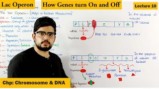 Regulation of gene Expression  Lac Operon  Lecture 10 [upl. by Leonidas]