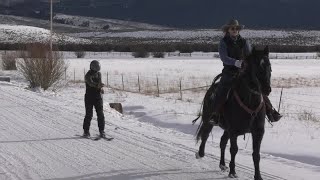 Wisdom prepares for annual skijoring event [upl. by Neelloj]