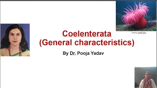 General characteristics of Coelenterata by Dr Pooja Yadav [upl. by Gillan]