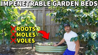 How To Keep TREE ROOTS MOLES And VOLES Out Of Garden Beds FOR GOOD [upl. by Nnylak635]