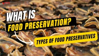 Food Preservatives – Types of Food Preservatives – Food Science amp Technology [upl. by Nolek]