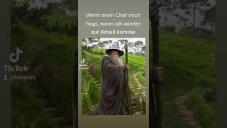 Der gelbe schein fürdich memes viralvideo funny lustig comedy humor [upl. by Areikahs650]