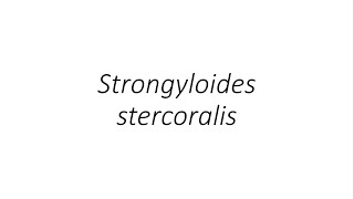 Strongyloides stercoralis Parasitology [upl. by Eifos326]