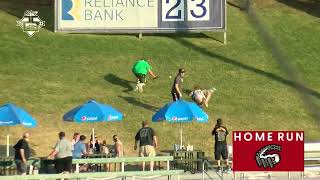 Curve vs Rumble Ponies Highlights  June 2 2023 [upl. by Eckart592]