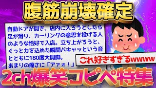 【2ch面白いスレ】死ぬほど面白い2chの爆笑総まとめ【ゆっくり解説】【総集編】【睡眠用】 [upl. by Neyuq]