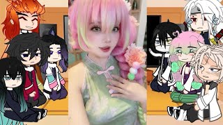 ⚡ Hashiras React To TikToks  Cute   Random Things  Part 1  Demon Slayer Spoilers [upl. by Yeung462]