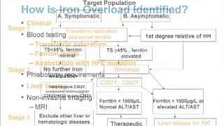 Iron Overload and the Liver Part 2 [upl. by Dez]