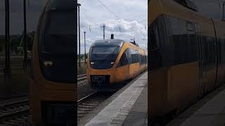 Ausfahrt von RB12 nach Templin Stadt in Oranienburg August2024 [upl. by Singer]