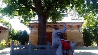 Shi Yan Xiang  shaolin kung fu by master of authentic lineage [upl. by Vada]