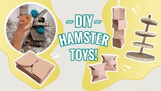 5 Easy DIY Hamster Toys [upl. by Reeve]