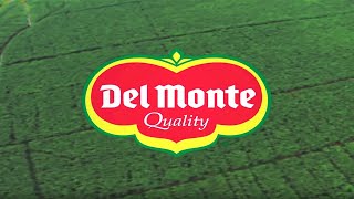 Fresh Del Monte Produce Inc Corporate Video [upl. by Noyad795]