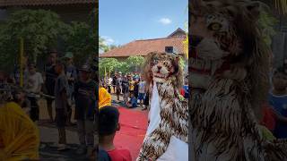 Barongan macan [upl. by Manouch]