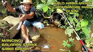 Mancing di Selokan Setelah Hujan Menemukan Sarang Yang Banyak ikanya LM45 [upl. by Bertero]