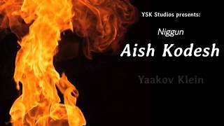 Niggun Aish Kodesh  A Tribute to the Piacezner Rebbe zyquota and his Kingdom of Children [upl. by Hyozo]