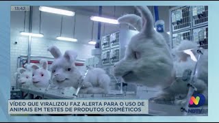 Vídeo que viralizou faz alerta para o uso de animais em testes de produtos cosméticos [upl. by Nylsirk709]