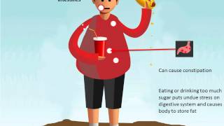 How An Unhealthy Diet Affects Your Body [upl. by Marin]