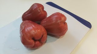 Slicing rose apple  wax apple macopamakopa asmr satisfying live trending [upl. by Levona]