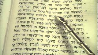 Kohelet  Ecclesiastes Reading the entire book Hebrew Sukkot Rabbi Weisblum מגילת קהלת קריאה סוכות [upl. by Ane]